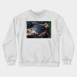 Button Quail Crewneck Sweatshirt